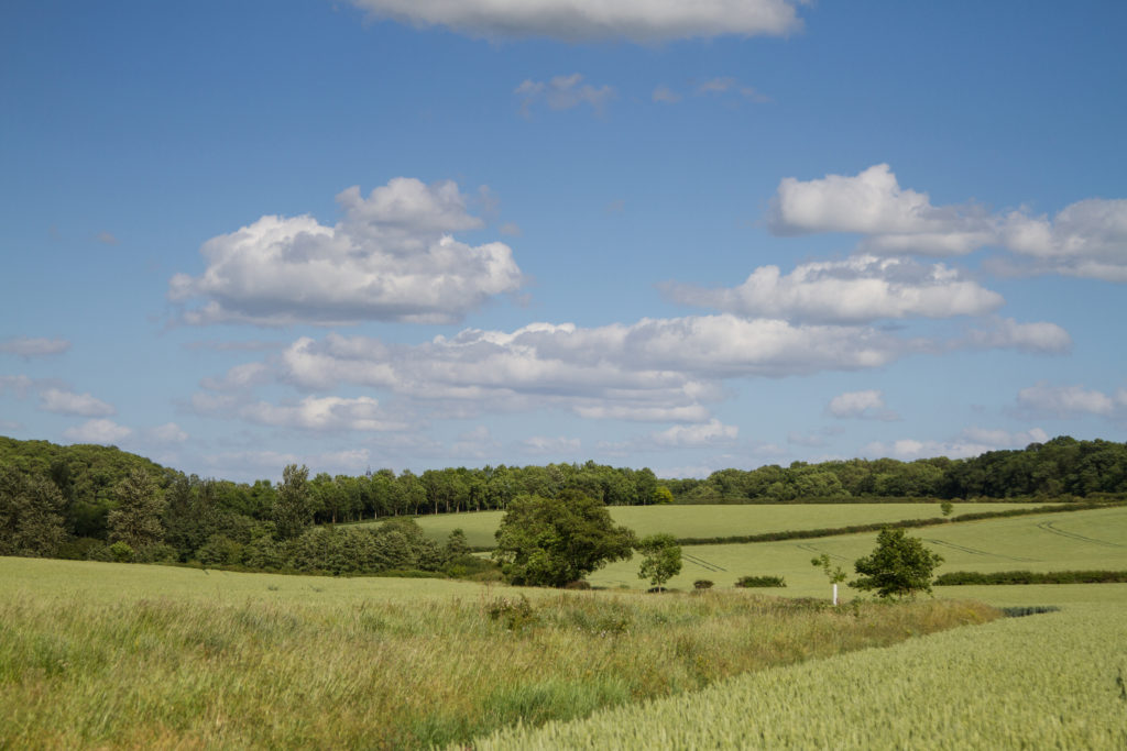 The Easton Estate Easton Estate and Walled Gardens