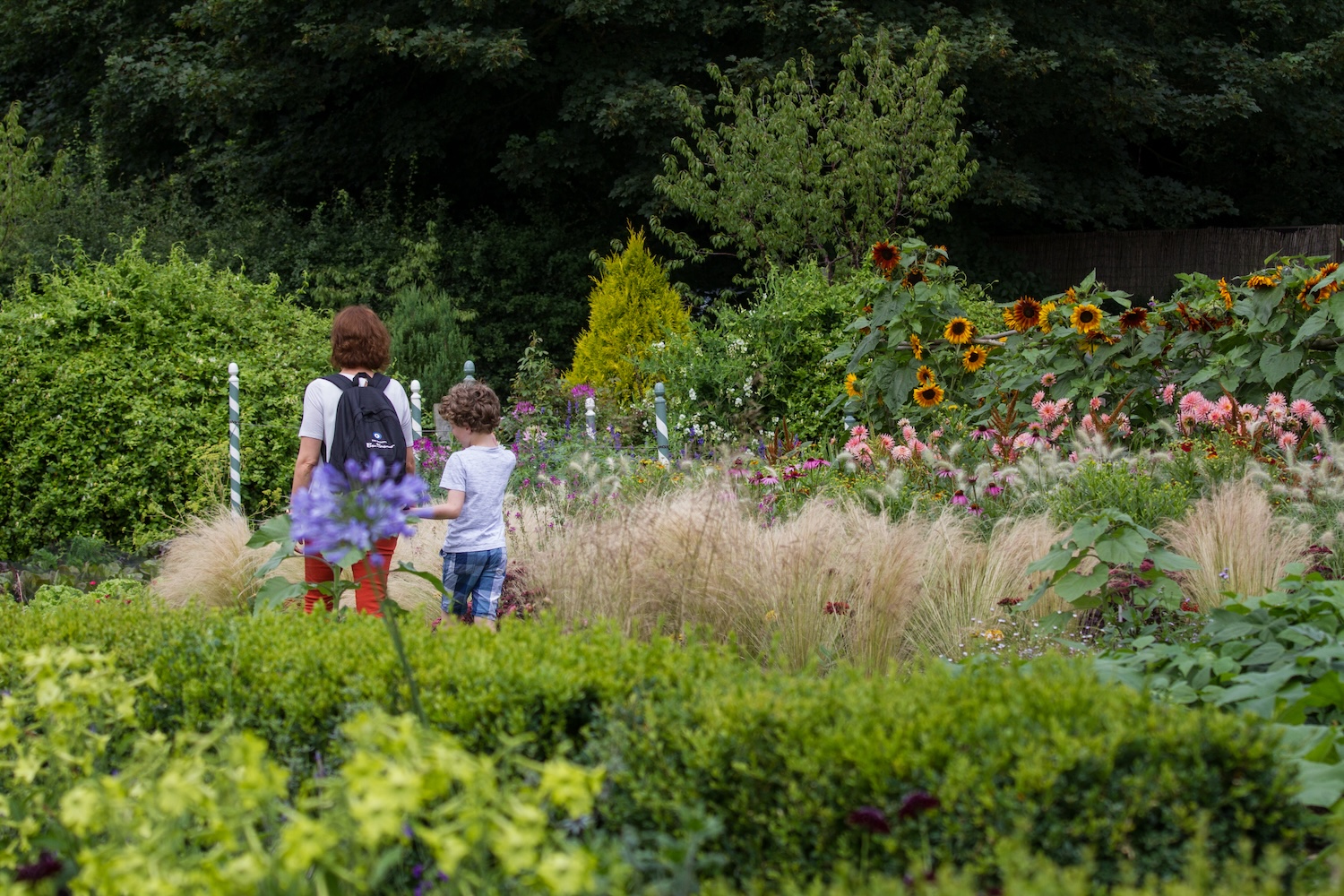 Gardens and Afternoon Tea For Two - Image 4